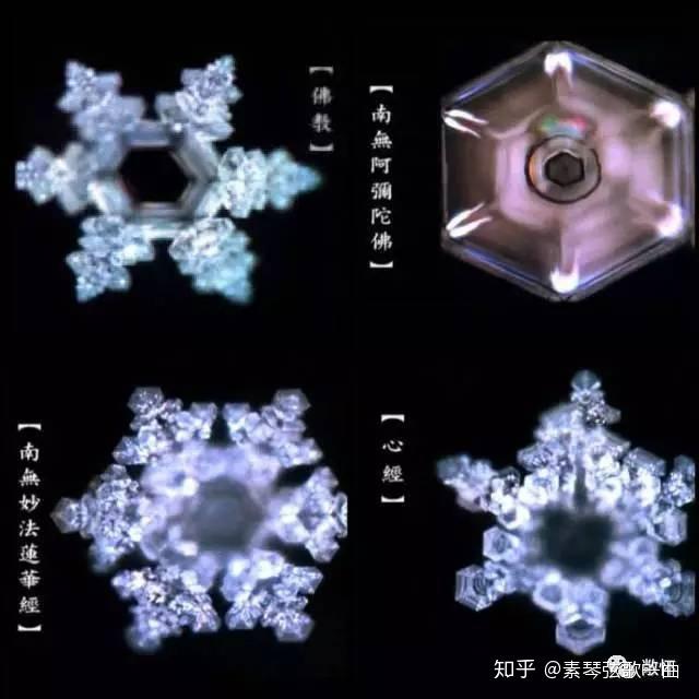 如何去观赏水结晶的喜怒哀乐?如