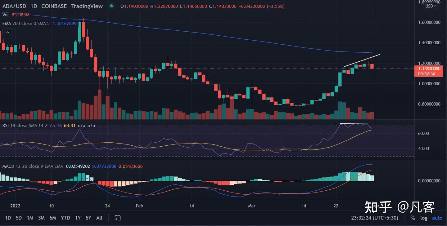 Ada 價格 美元 (99) 사진