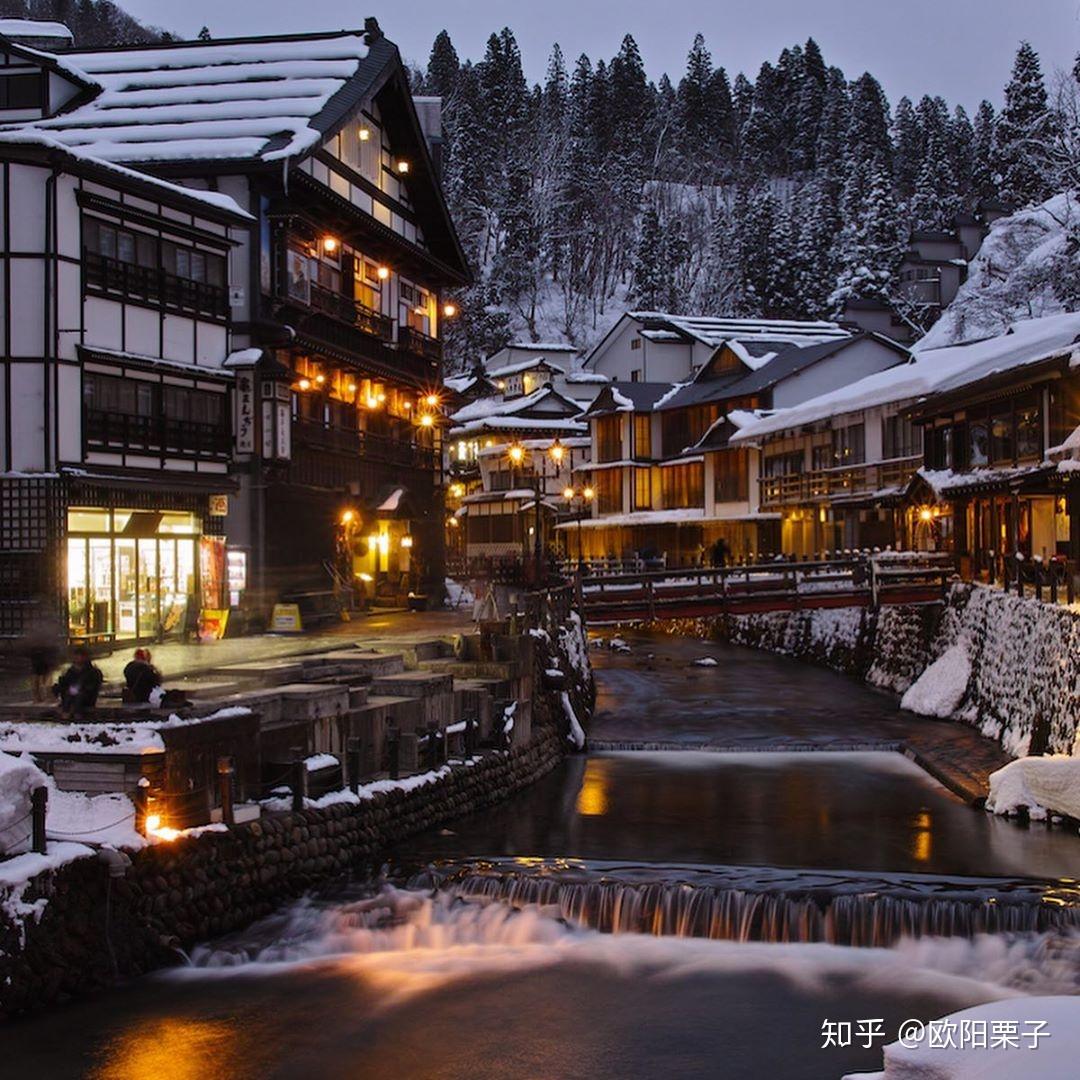 【日本の冬絶景】雪国の伝統の美しさ 新潟県の雪景色 | TABIZINE～人生に旅心を～