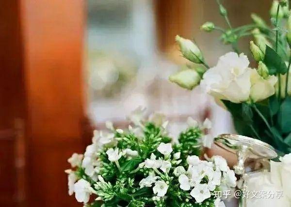 励志篇正能量美文短句(抖音经典励志正能量语录句子，阳光励志的心语文案)