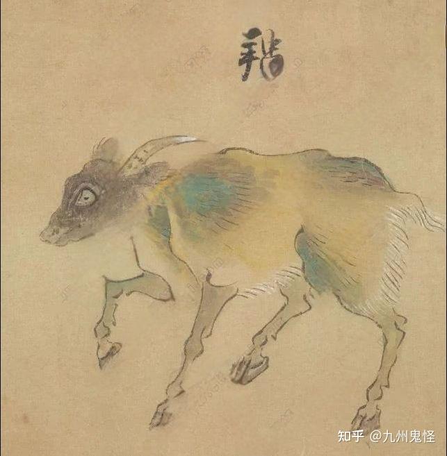 不可食䍺 - 知乎