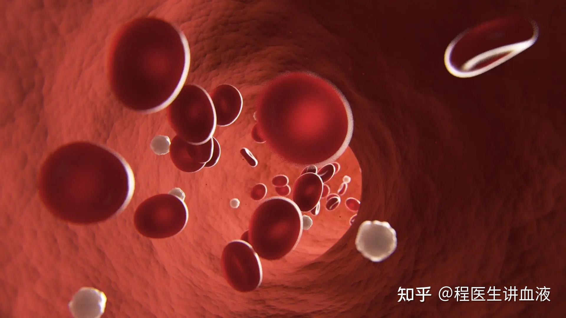 骨髓造血功能健不健康要看这三个指标！ - 知乎