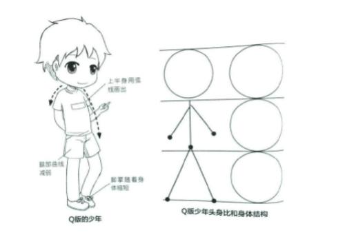 5头身为比例,手掌以半圆概括,整体身体可以运用椭圆表现结构,婴儿可以