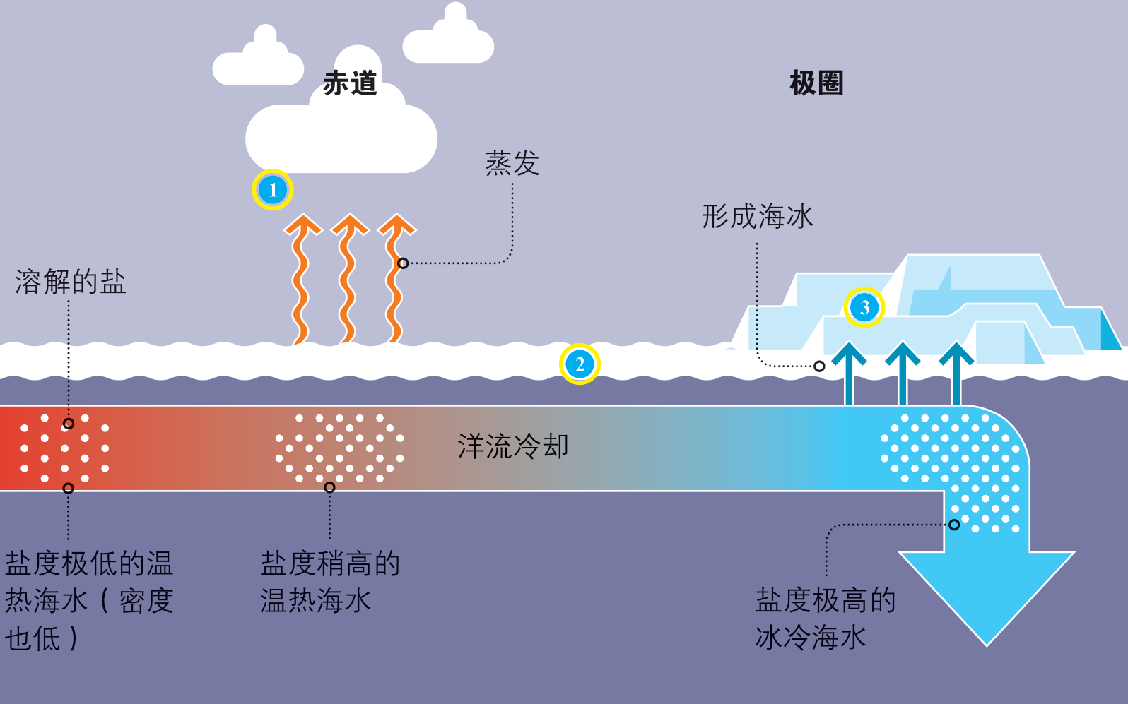 海水温度变化图片