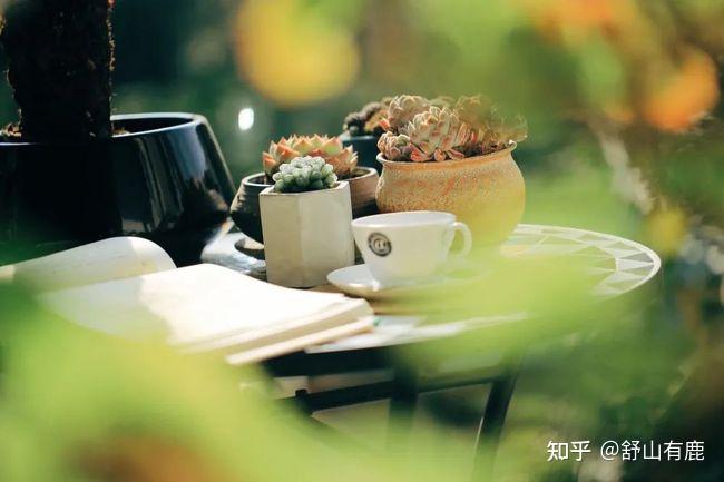 “人心躁，有灾祸”：静不下来的人生，始终是一场悲剧 知乎 