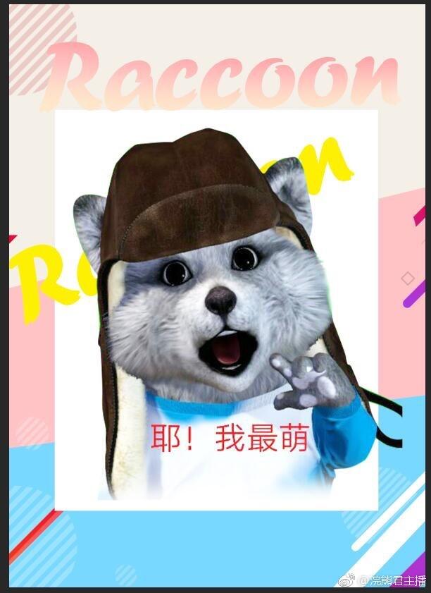 如何评价虎牙主播浣熊君