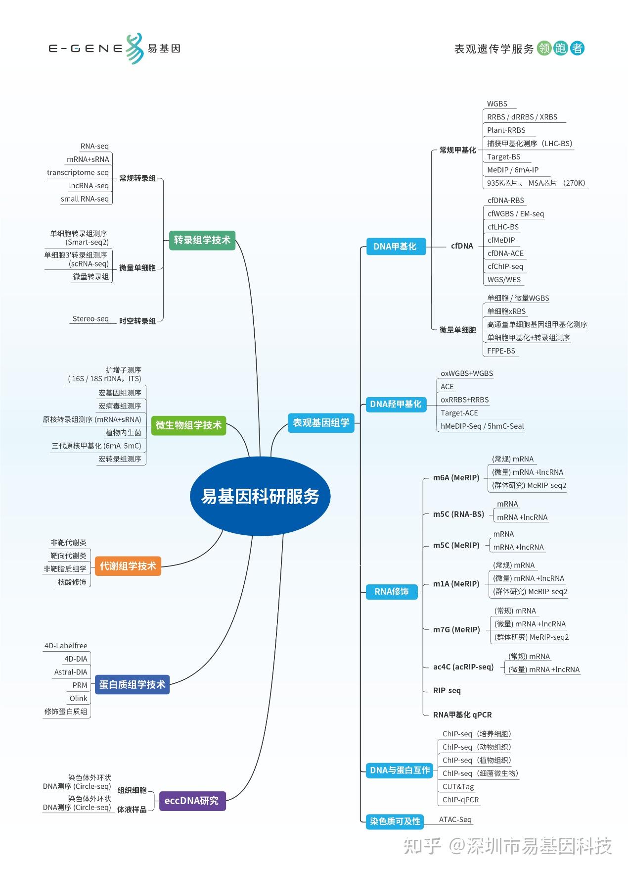 易基因：WGBS+ChIP-seq技术揭示Cdx2转录因子在发育与稳态中的动态结合机制｜NC/IF14.7