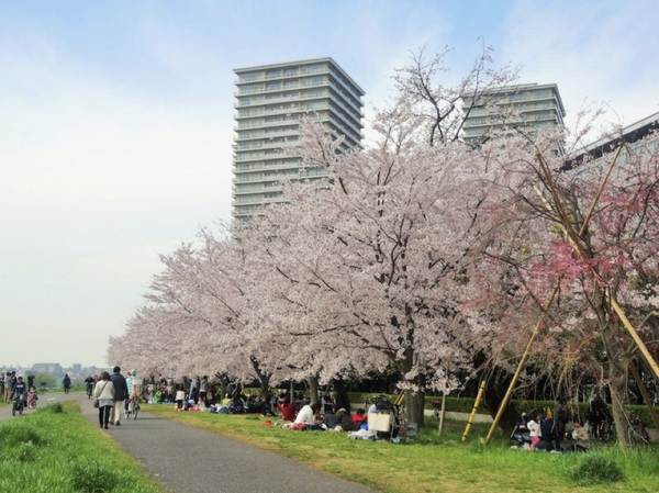 东京大田区,这些漂亮的小众拍照景点,不要错过 - 知乎