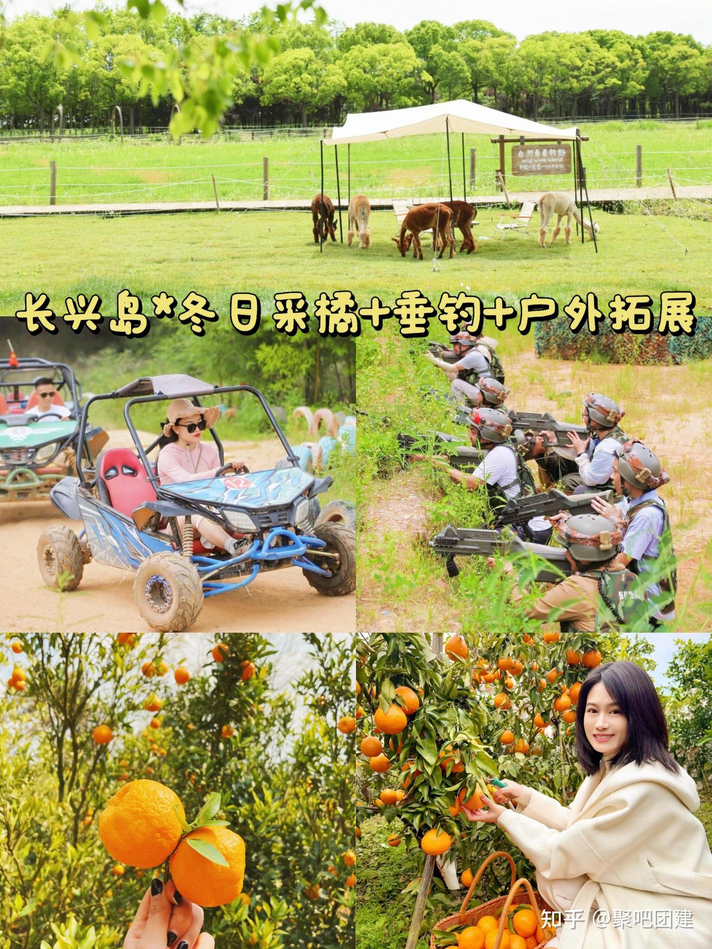 上海冬日团建 ️12-2月12个暖玩地合集|||上海团建｜冬季团建｜公司一日游 - 知乎