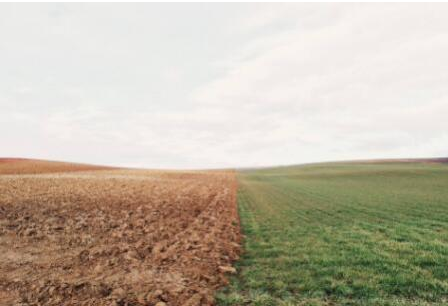 v2-7324c497adc1adc4425308d85230b26d_r.jpg
