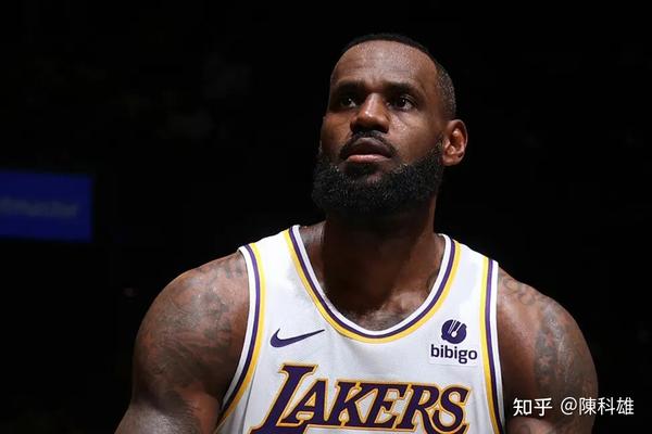 从湖人到掘金看詹姆斯与约基奇如何带领球队走向辉煌