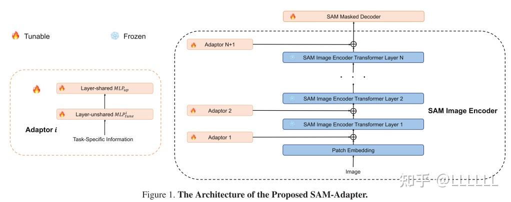 SAMed:Customized Segment Anything Model for Medical Image Segmentation - 知乎