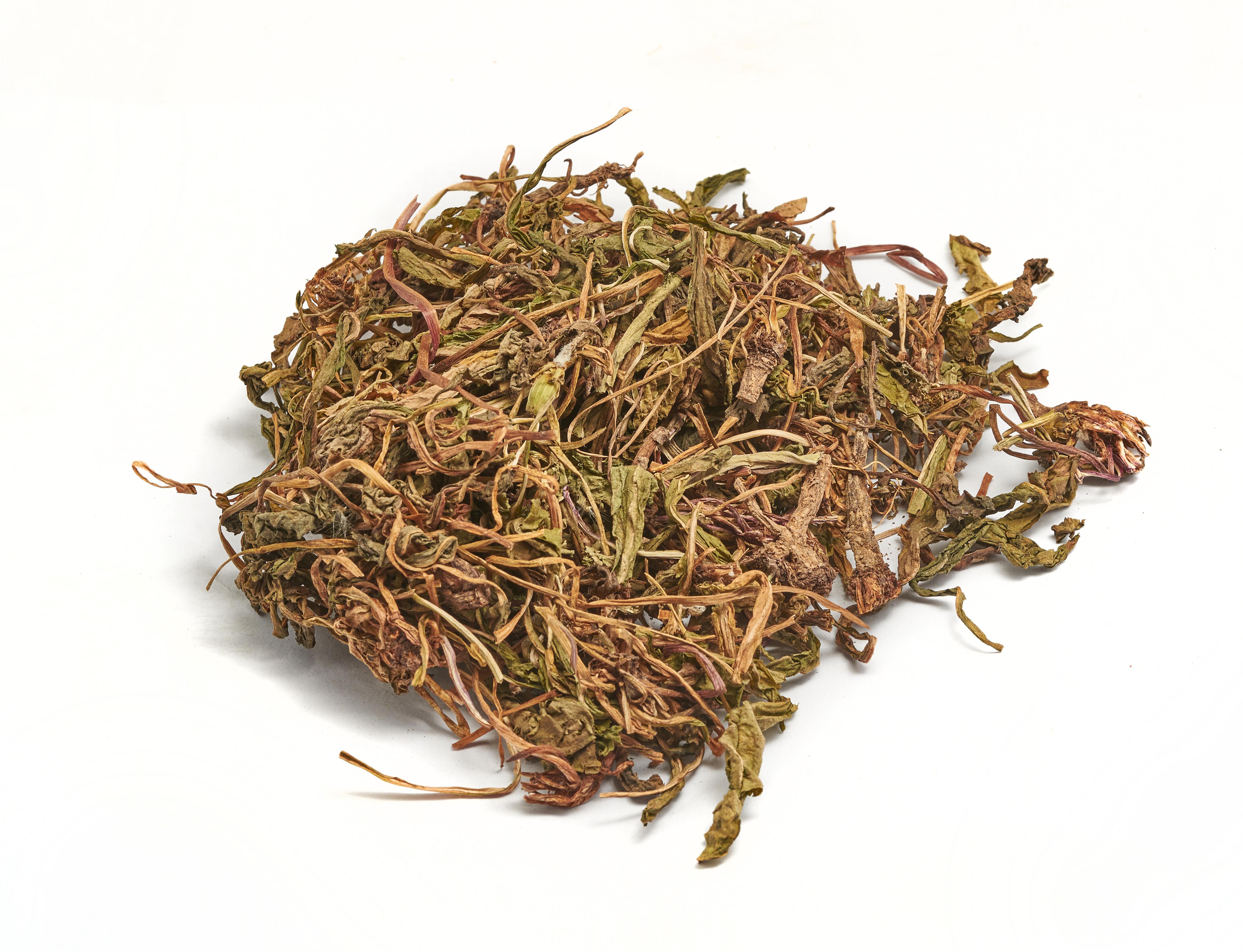 萌奇:蒲公英除了可以鲜花送朋友,还可以食疗和药用哦!