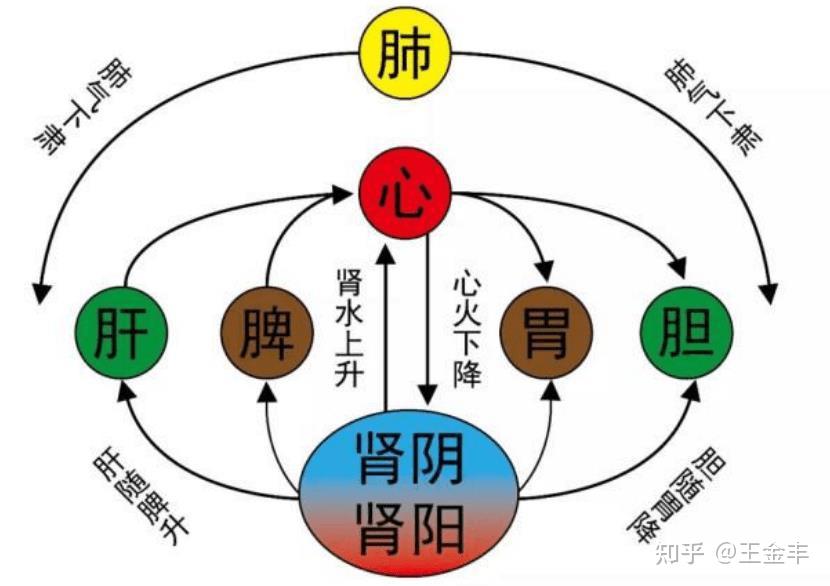 如何恢复阳气身体图片