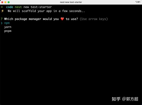 NestJs入门篇(一) 知乎