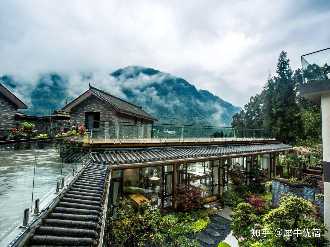 青城山不可错过的神仙民宿—青城山山野山也 - 知乎