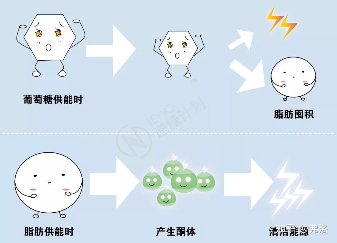 别再分不清营养性生酮和酮症酸中毒了！ - 知乎