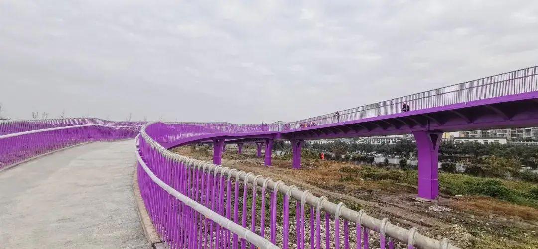 今年春节,在这座"网红桥"上看风景! - 知乎