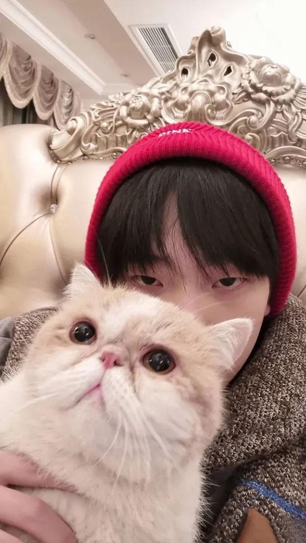 R1se周震南壁纸 那得吧 知乎