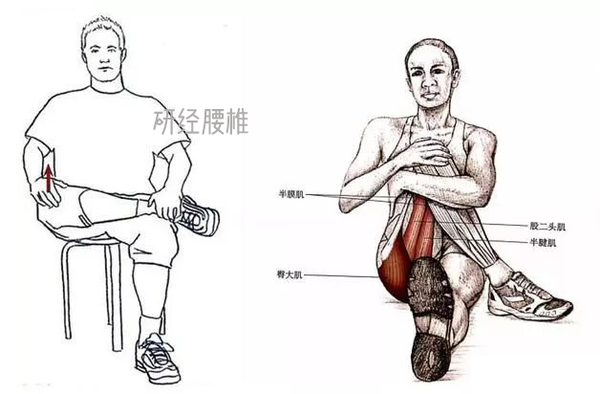 大腿肌肉酸痛按摩手法图片