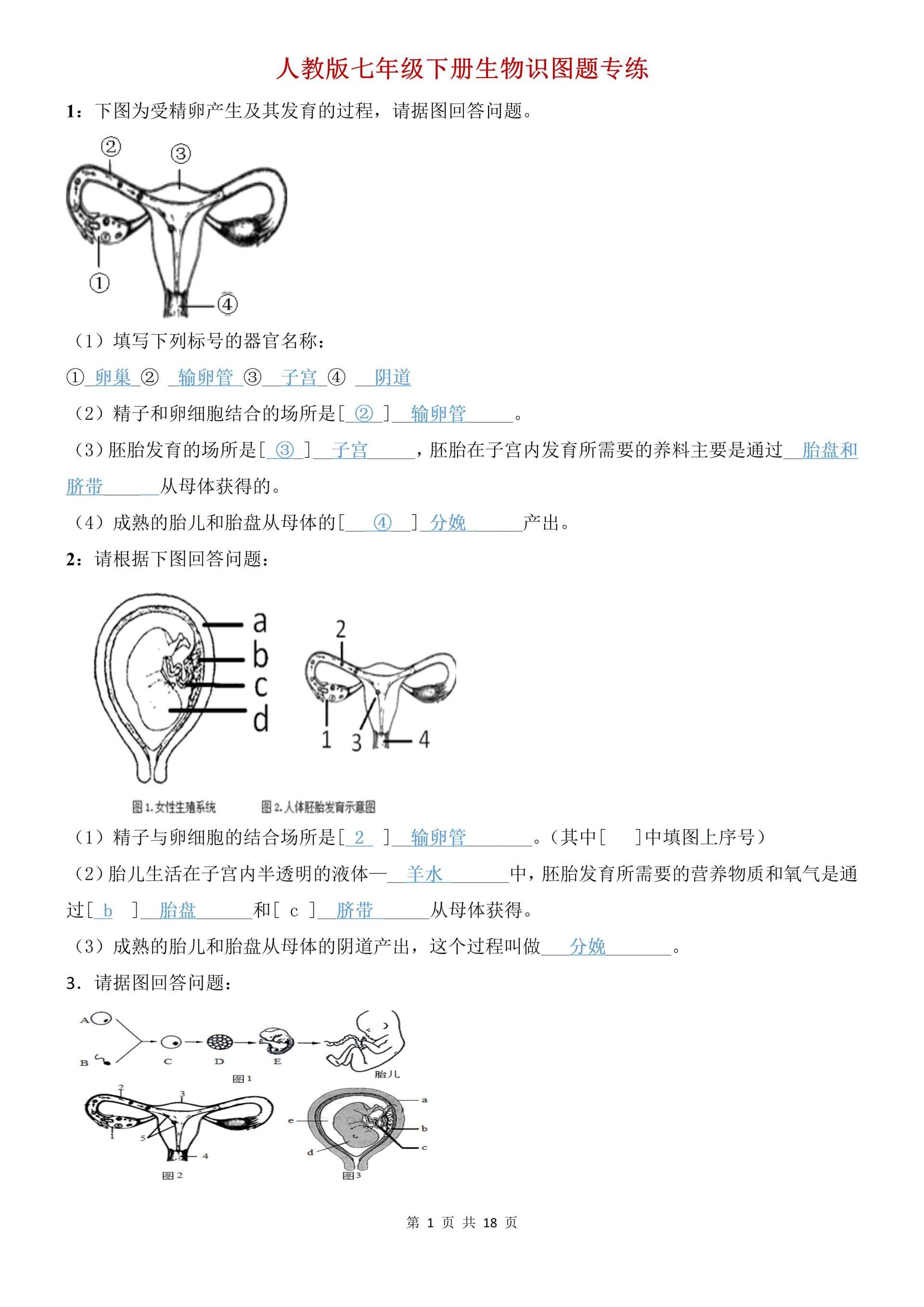 初中生物 人教版初一七年级下册生物识图题专练