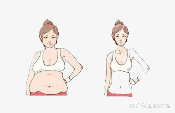 胖子和瘦子的7大區別看完讓人震驚