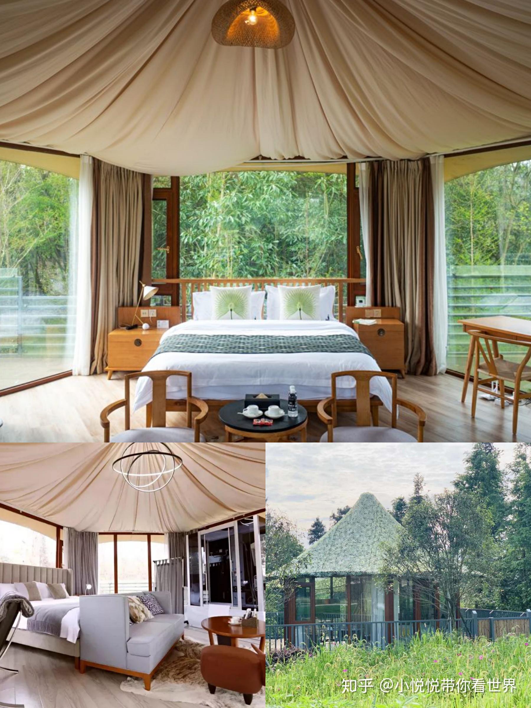 风景田园宝藏民宿,给你意想不到惊喜.