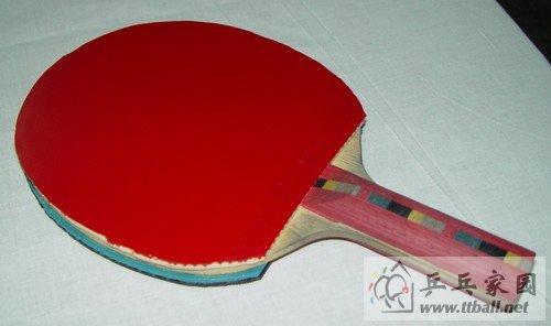 乒乓板排名_男子乒乓世界排名(2)