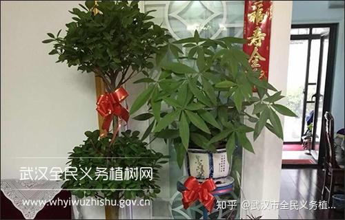 v2-73bbf9f3c346db939fd1521884c85de9_r.jpg