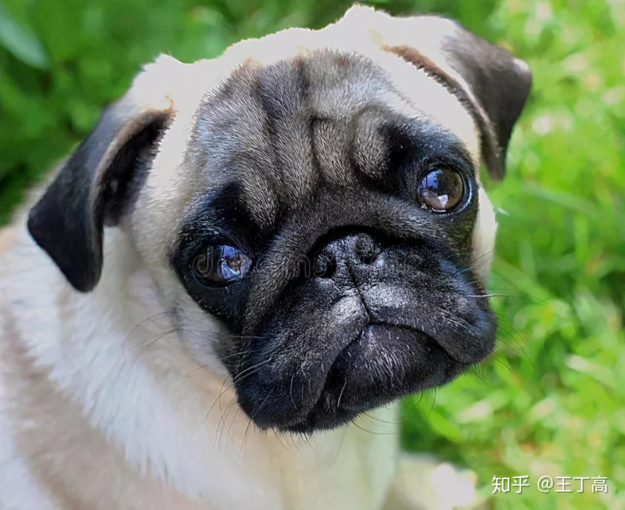 当情绪快要崩溃了一度失控了怎么来调整三点方法与你分享