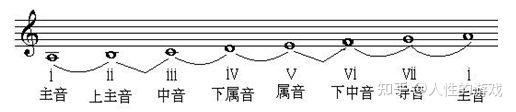 主音,上主音,中音,下属音,属音,下中音,导音 - 知乎