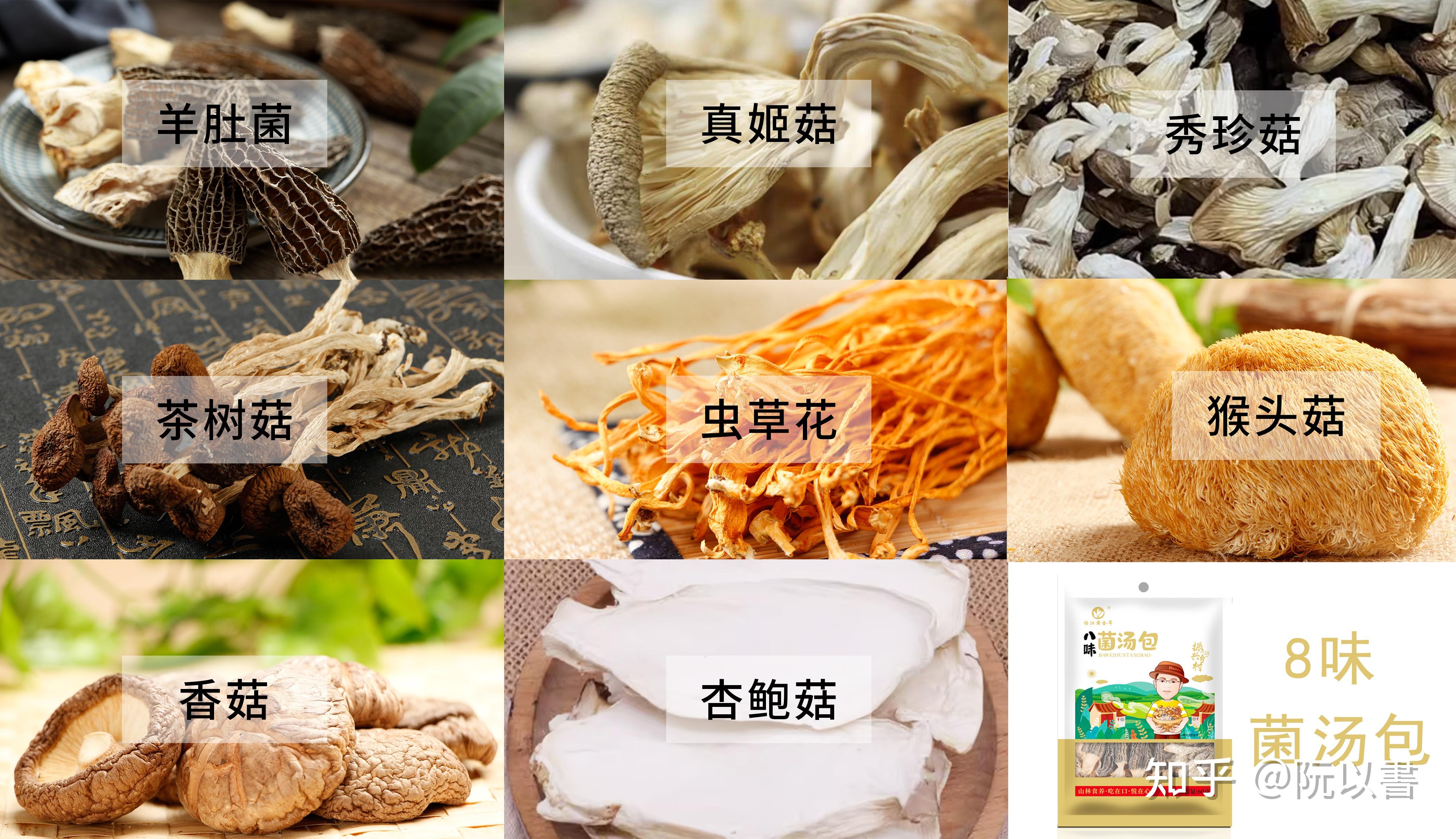 常见食用菌普及 - 知乎