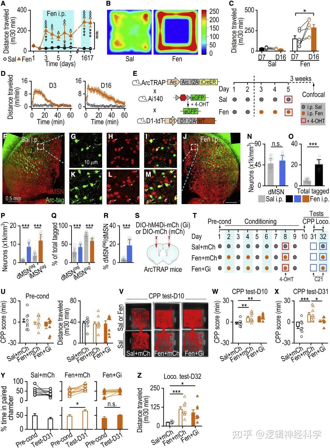 Cell Reports︱美国德州农工大学王军团队揭示纹状体m-阿片受体激活会触发直接通路GABA能可塑性并诱导负面情绪 - 知乎