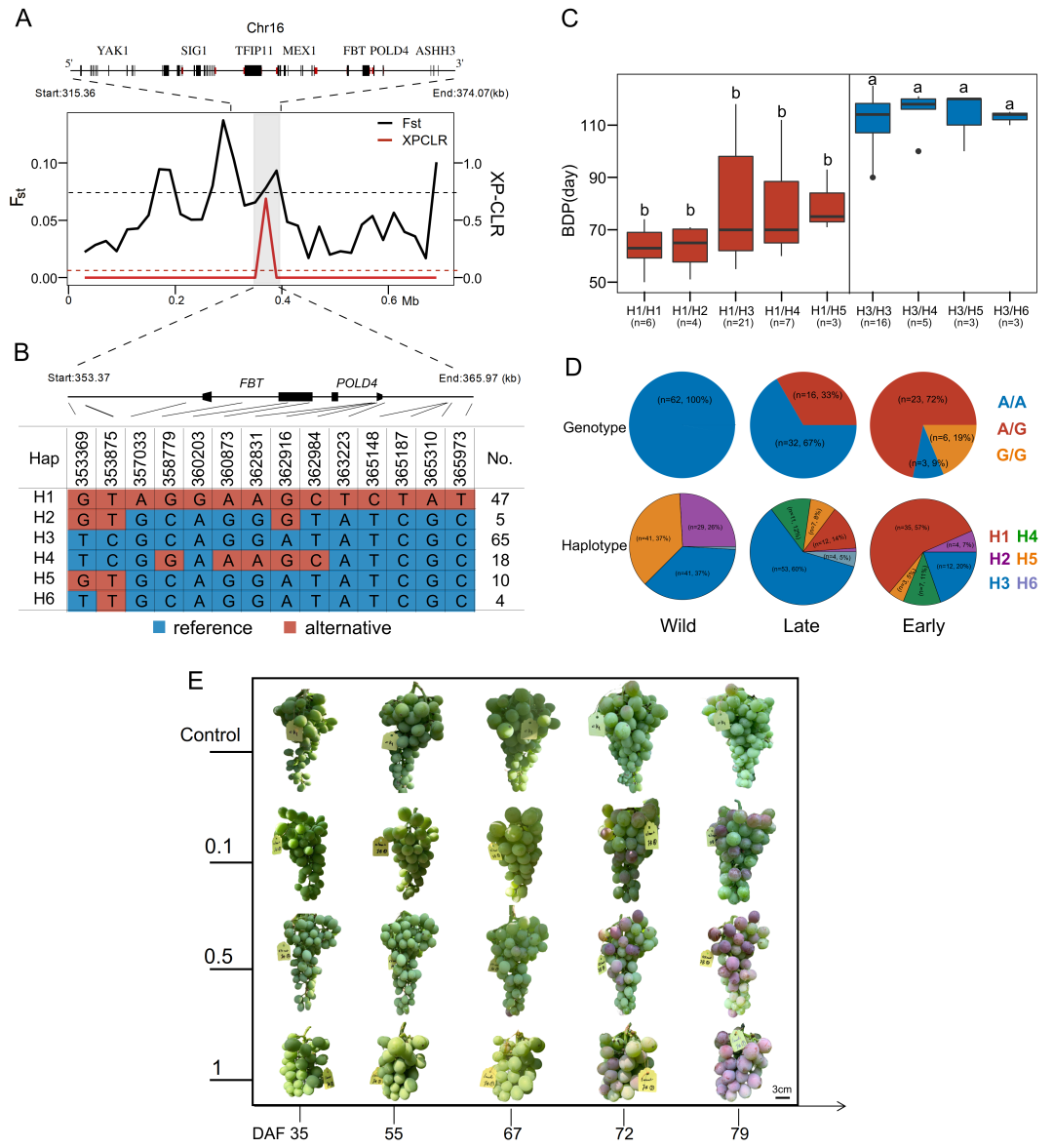 plant-physiol