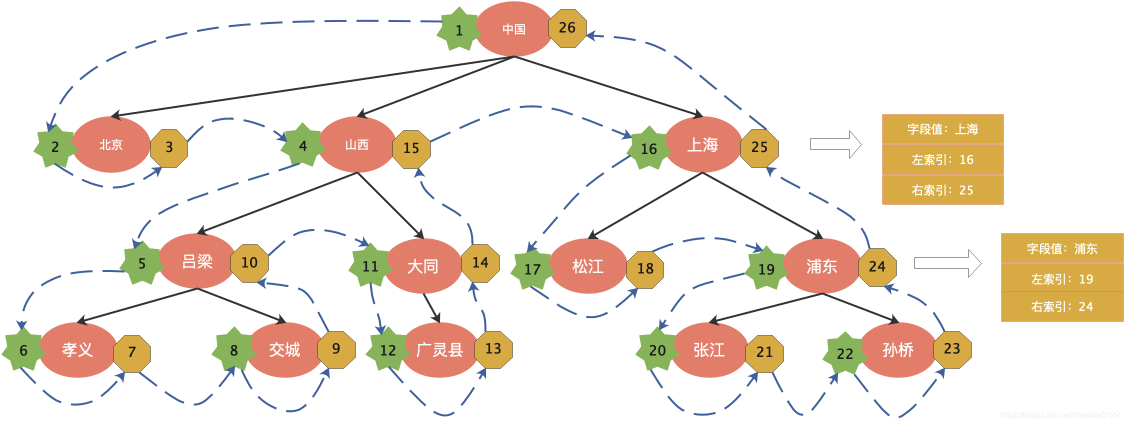 树形结构表图片