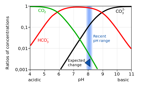 碳氧平衡示意图图片