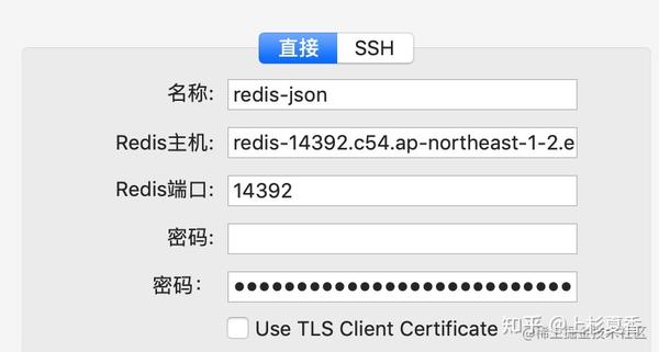  Redis JSON 