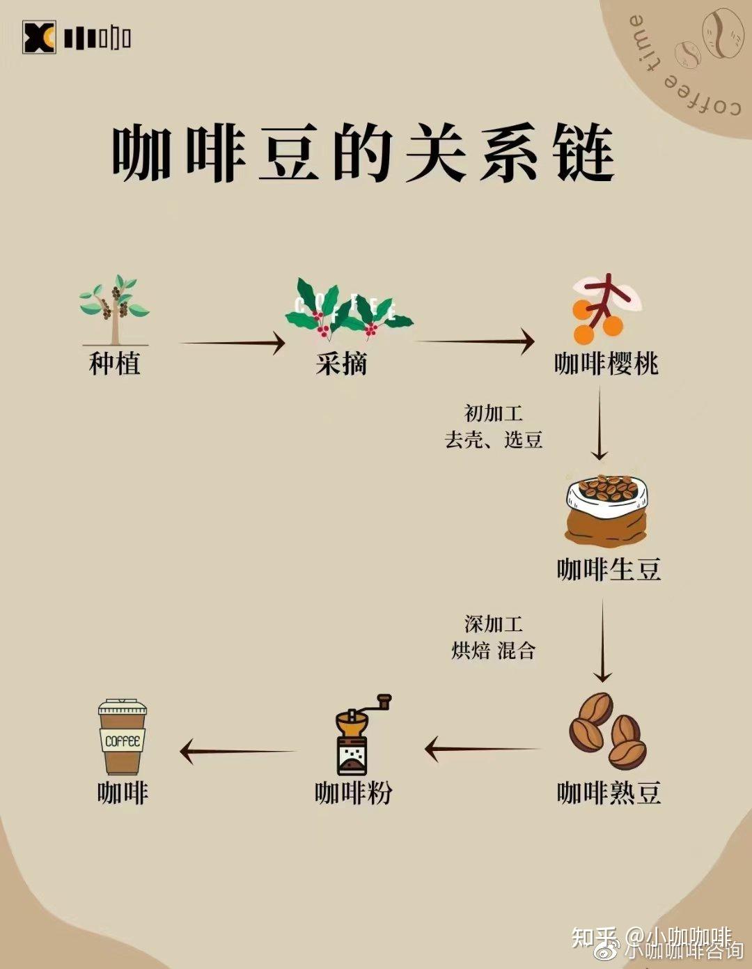拒绝尴尬 一张图秒懂咖啡菜单 知乎 