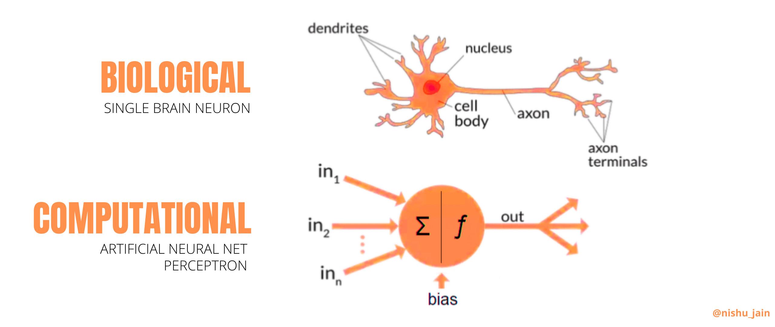 learning,ml)开发人员,在首次学习人工神经网络(artificial neural