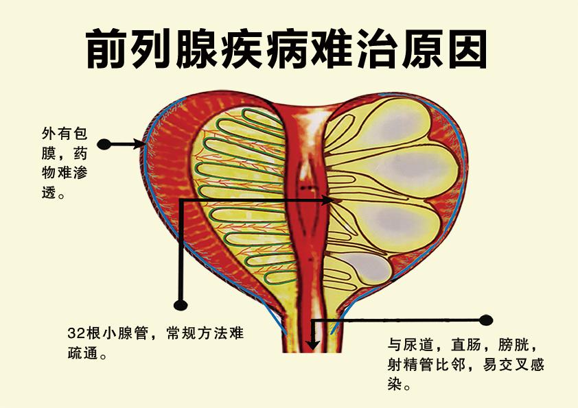 擅长：腹部和小器官疾病的超声诊断与鉴别诊断，介入超声诊断及治疗男性前列腺超声造影及穿刺...黄牛代挂号的简单介绍