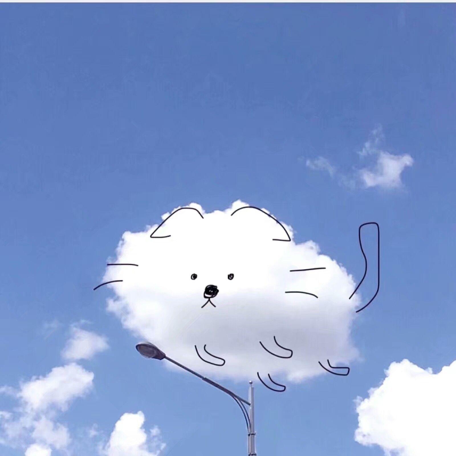 有哪些有意思的社交软件头像? - 知乎