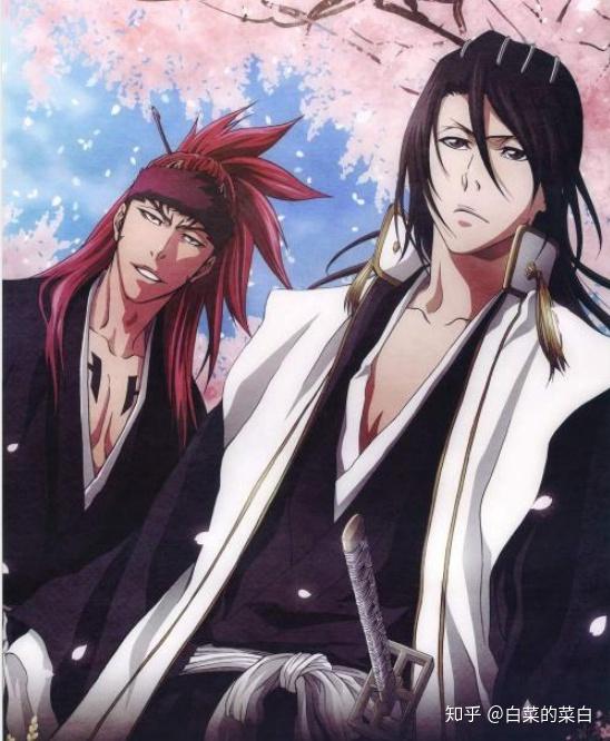 《死神》人物传记之内热外冷的贵族男神—朽木白哉