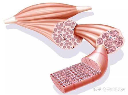 如果你是一个细胞,所在人体接种了新冠疫苗,你会面临怎样的命运? 10 v2 7489b496167c8f26e8037e92d66caea0 720w