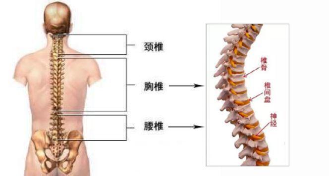 腰腿疼怀疑腰椎间盘突出症 医生教你5个自查方法 在家就能做 知乎