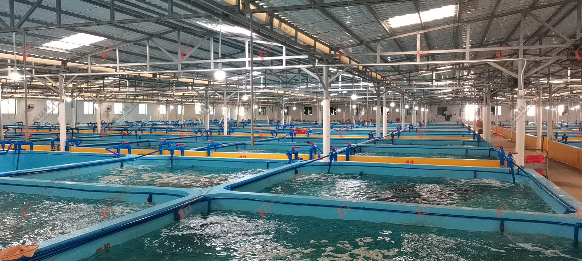 海南省某养殖场——树脂瓦项目案例