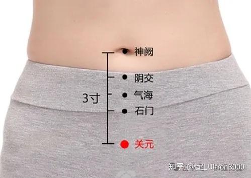 我们的长寿穴:关元穴 - 知乎