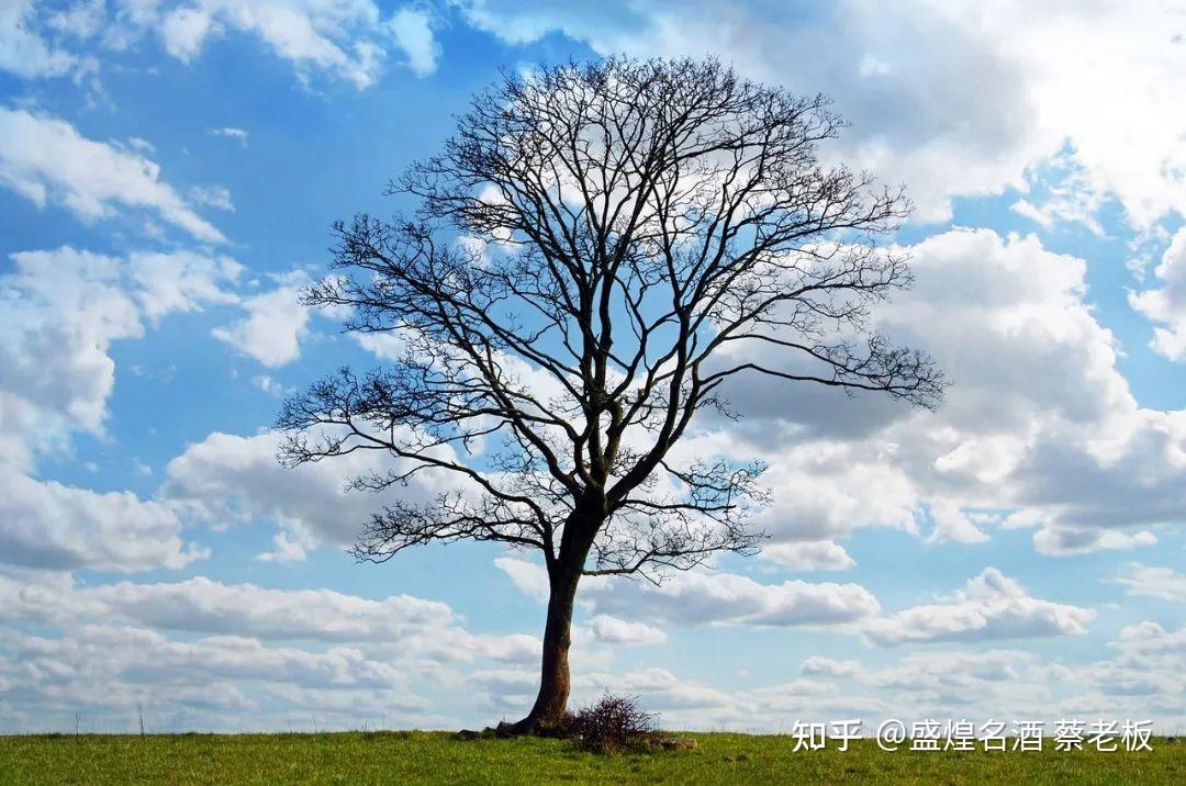一个人最好的活法:随心(心态平和),随意(物质极简),随性(学会放下)