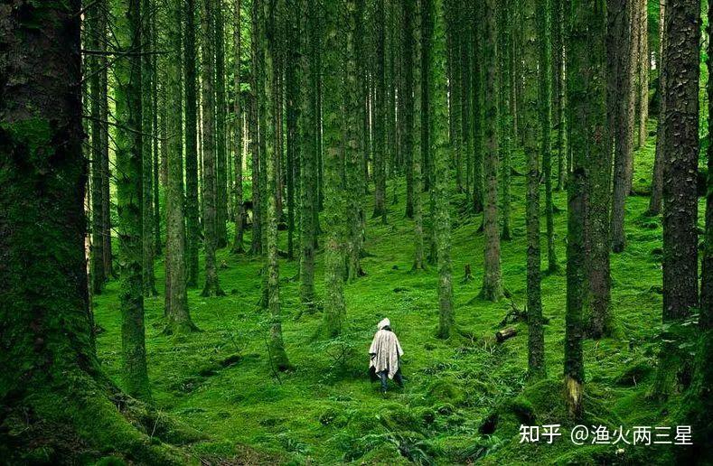 《挪威的森林》:白昼之光,岂知夜色之深 - 知乎