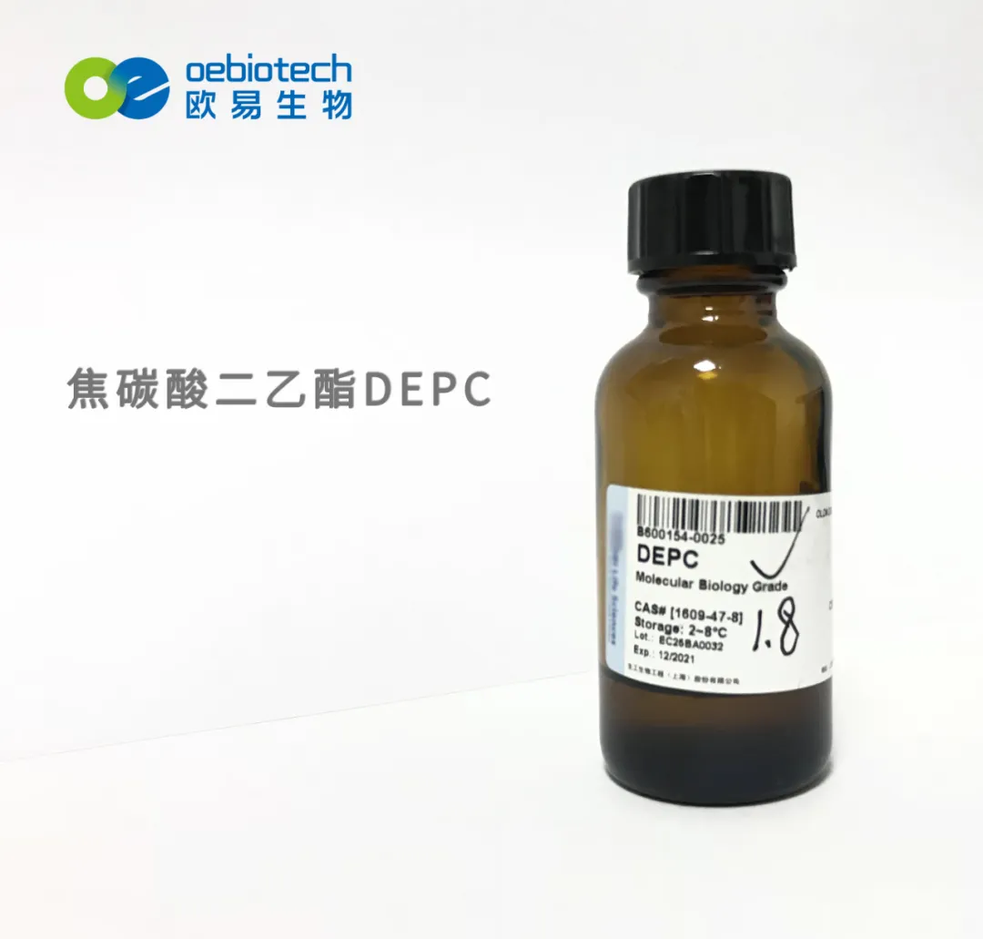 depc即焦碳酸二乙酯(diethyl pyrocarbonate),可灭活各种蛋白质,是rna