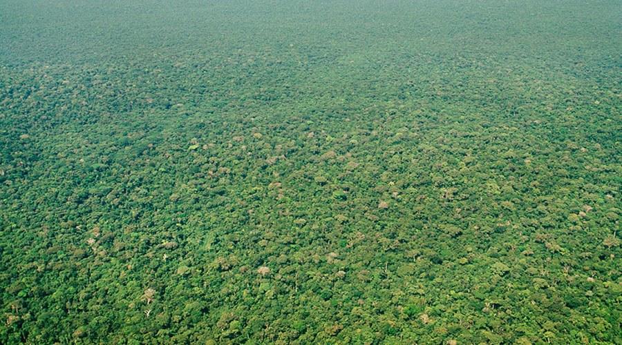 刚果金首都的骚乱,真实原因是什么? - 知乎